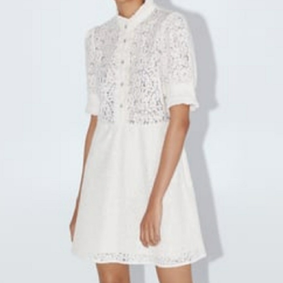 zara lace dress with jewel button